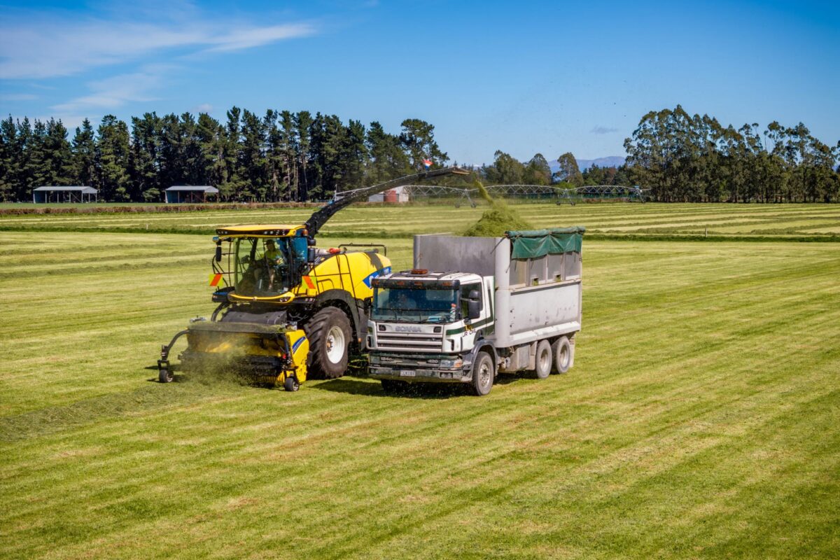 JR_Civil_Harvester_In_Action_West_Eyreton_16_10_25_Small_1