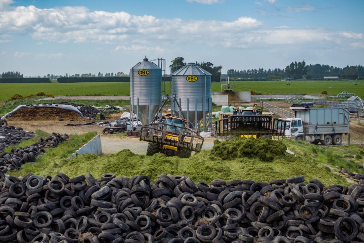 JR_Civil_Harvester_In_Action_West_Eyreton_16_10_25_Small_12