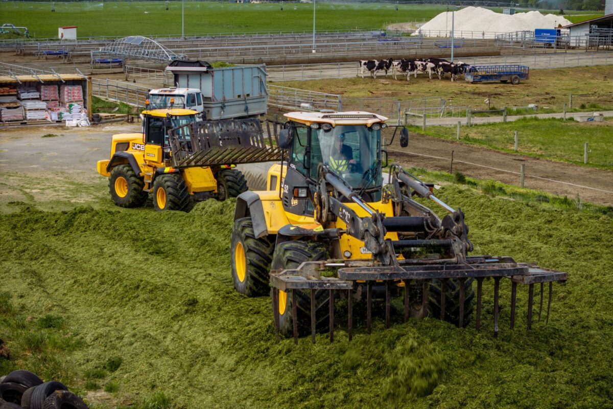 JR_Civil_Harvester_In_Action_West_Eyreton_16_10_25_Small_15