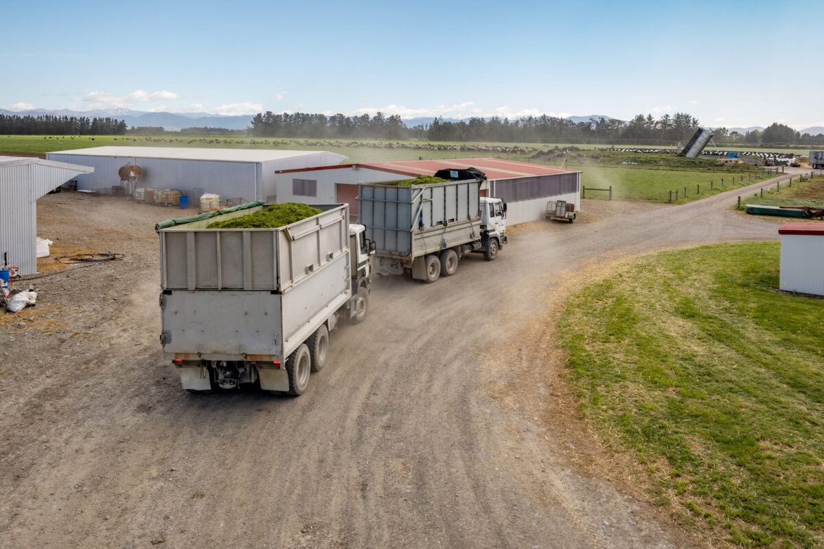 JR_Civil_Harvester_In_Action_West_Eyreton_16_10_25_Small_7